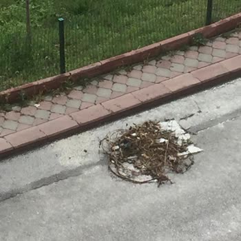 Keçiören Belediyesi İlgililere Duyurulur! Çözüm İstiyoruz