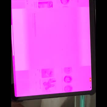 Apple iPad Pro розовый экран