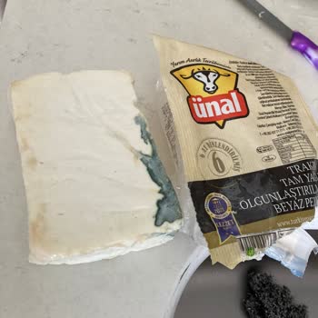 Ünal Peynircilik Küflenme Sorunu