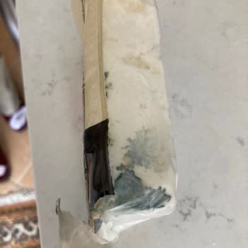 Ünal Peynircilik Küflenme Sorunu