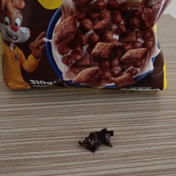 Nestle Nesquik İçinden Çıkan Şey