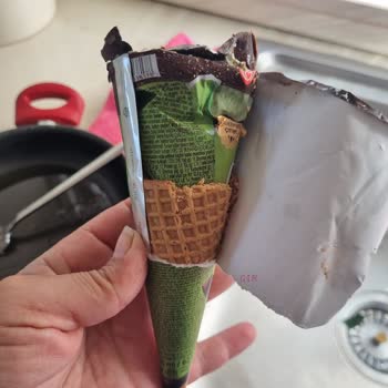 Migros'tan Aldığım Algida Dondurmanın Mutasyona Uğraması