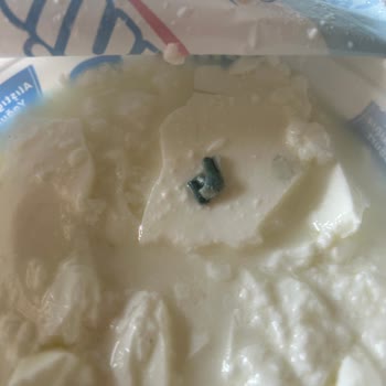 İçim Süt ve Süt Ürünleri İçim Laktozsuz Yoğurt- Plastik Madde