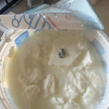 İçim Süt ve Süt Ürünleri İçim Laktozsuz Yoğurt- Plastik Madde
