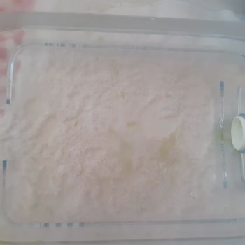 Brita Su Sebili İçi Yeşilleniyor