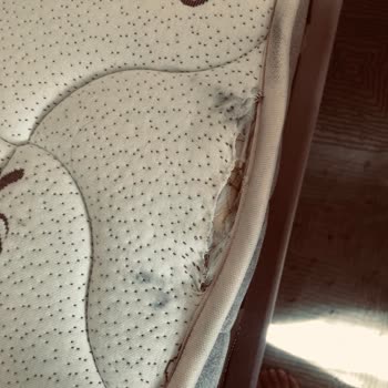 İşbir Yatak Baza Kalite Ve Servis Sorunu