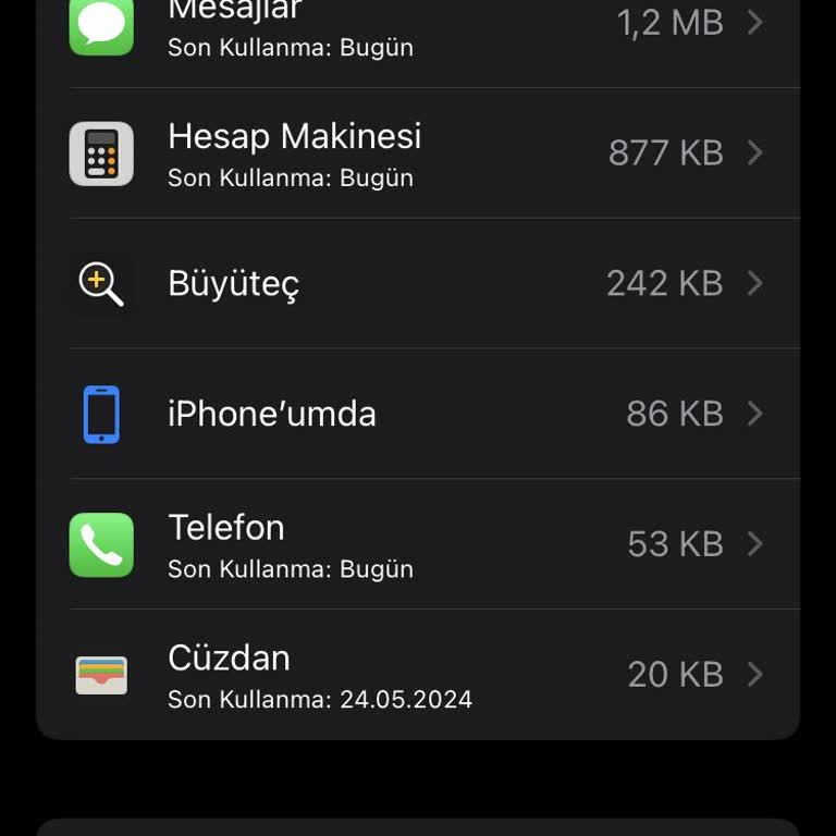 Apple Depolama Alanı Sorunu