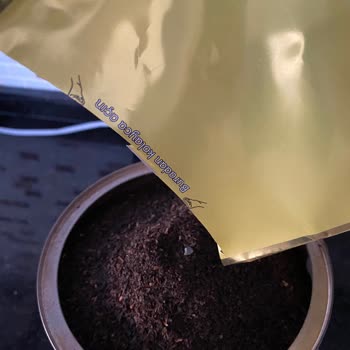 Lipton Yellow Label Çay