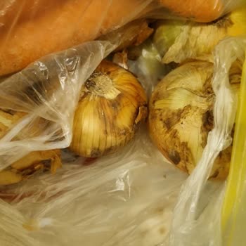 Cepte Şok Can Yakar