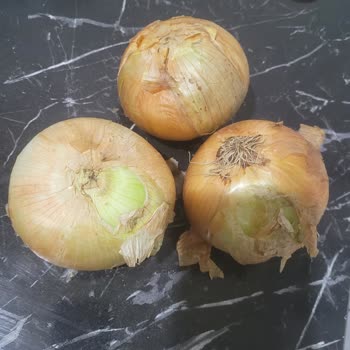 Şok Marketler Sok Online Alışveriş Pişmanlığı