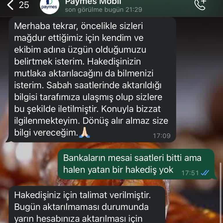 Paym.es Paym. Es Hak Edişim Yatmıyor