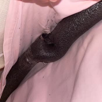 Svava Salıncak 700 Liralık