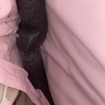 Svava Salıncak 700 Liralık