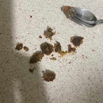 Tat Makarnanın İçinden Çıkan Garip Şey Ve Koku