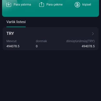 Bitforex Paramı Alamıyorum Bir