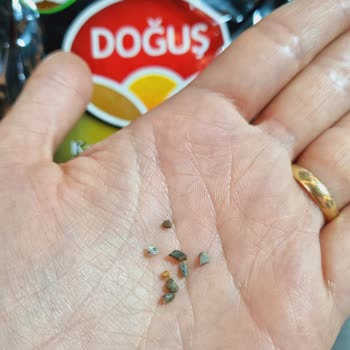 Doğuş Çay Taş Çıktı Çaydan