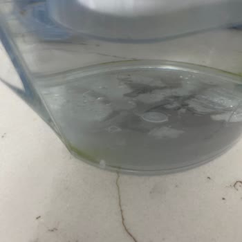 Brita Sürahim Yosun Tutuyor