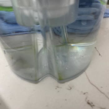 Brita Sürahim Yosun Tutuyor