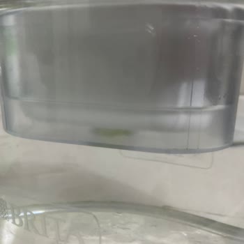 Brita Sürahim Yosun Tutuyor