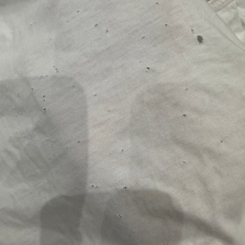 Arçelik 9120 M Çamaşır Makinesi Çamaşırları Deliyor