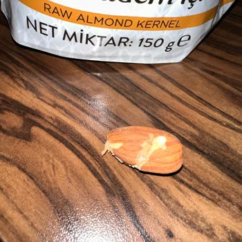 BİM Simbat Çiğ Bademden Kurt Çıktı