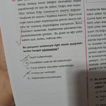 Vize Yayıncılık Sorunun Çözümünde Yanlışlık Yapılmış