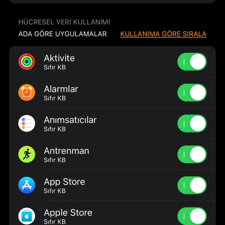 Apple Watch Türk Telekom Hücresele Bağlanmıyor