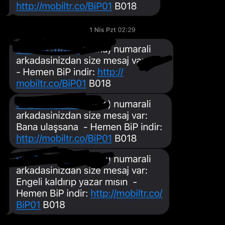 BİP Davet Üzerinden Rahatsız Ediliyorum