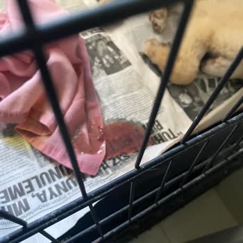 Adana Büyükşehir Belediyesi Çok Kötü Bir Tesis