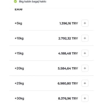 Ajet Ek Bagajı 8,5 Katına Satıyor