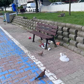 Sultangazi Belediyesi Çevre Temizliği Hakkında