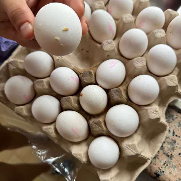 Yemek Sepeti'nin Kötü Hizmeti Yetti