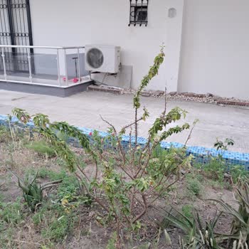 Eko Garden Bahçe Bitkilerinde De Mağduriyet!