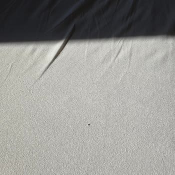 Pronto Tour Konaklama Çok Kötü