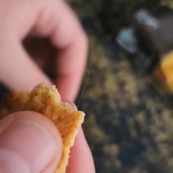 Eti Gıda Burçak Bisküvi İçinden Kıl Çıktı!