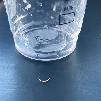Coffy Tırnaklı Çilekli Limonata!