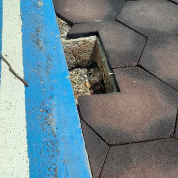 Muş Belediyesi Parkları. Çocuk Oyun Alanları Kırık Ve Tehlikeli