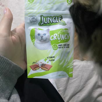 Jungle Pet Food Jungle Crunch Kedi Ödül Mamasının İçinden Plastik Çıktı