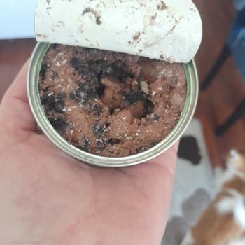 Farmina Nd Wet Food Quality Concerns