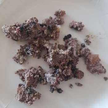 Farmina Nd Wet Food Quality Concerns