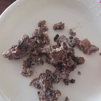 Farmina Nd Wet Food Quality Concerns