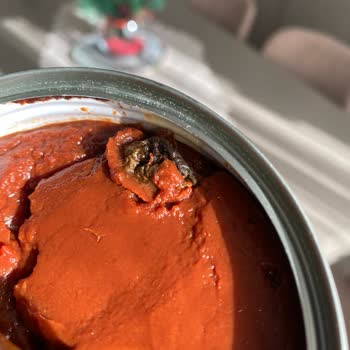 Tamek Salça Küflü Çıktı