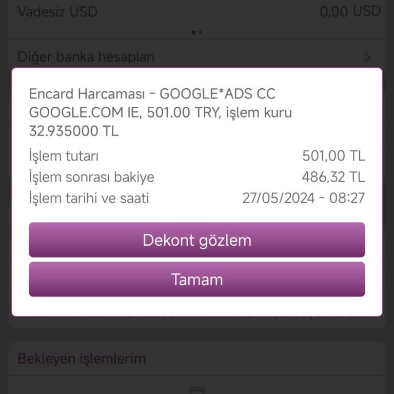 Google AdSense Google Ads CC@g Adlı Firma, 501 TL Param Geri İstiyorum