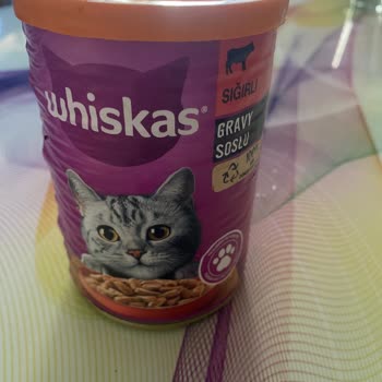 Whiskas влажный корм вызвал рвоту у моей кошки