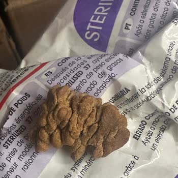 Проблема с кормом Royal Canin Sterilised.