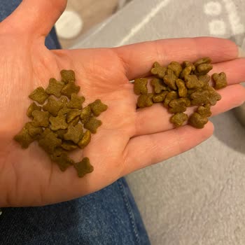 Royal Canin Kitten 10 кг Поддельный корм