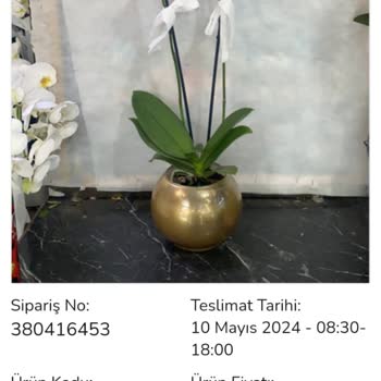 Çiçek Sepeti Sipariş Onay Fotoğrafı İle Teslim Edilen Çiçek Farklı