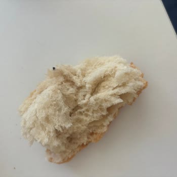 A101 Ekmeğin İçinden Böcek Çıktı