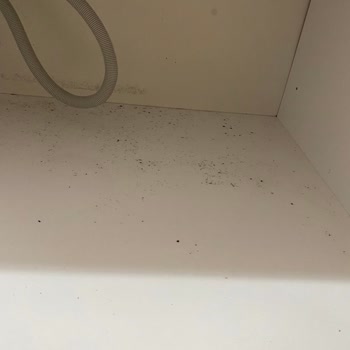 Arçelik Bulaşık Makinesi Kurulum Hatası