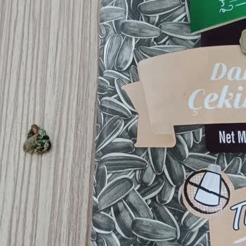 A101 Çerezya'dan Kuş Dışkısı Çıktı